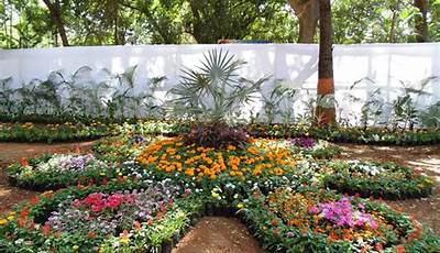 Plants For Garden In India