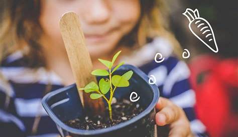 Fun Plants To Grow With Children
