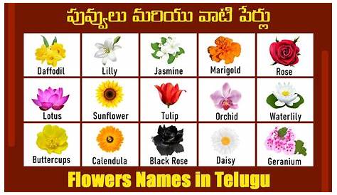 Plants Names In Telugu And English Pdf పువ్వులు ఇంగ్లీషు లో తెలుగు లో Spoken 52