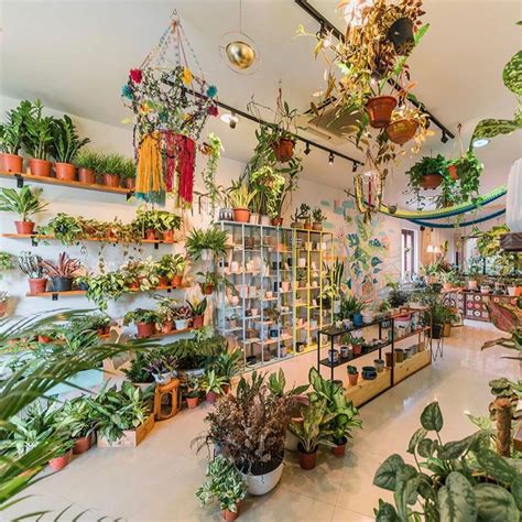 8 Boutique Plant Shops In Singapore To Get Artisanal Pots & Rare Plants