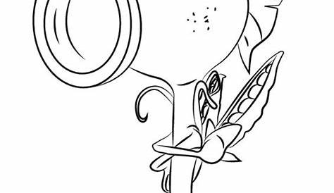 Plants Vs Zombies Garden Warfare 2 Coloring Pages