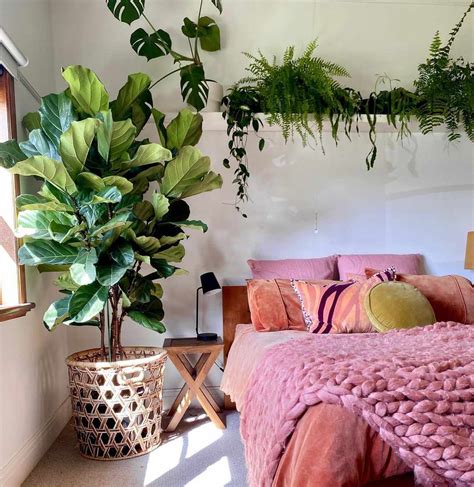Plants in Bedroom