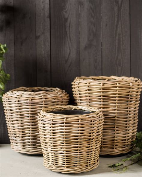 Plants Pots Baskets