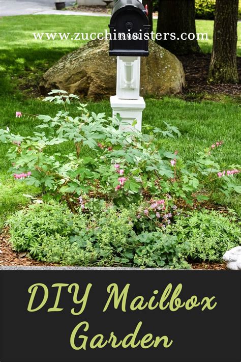 Plants Under Mailbox