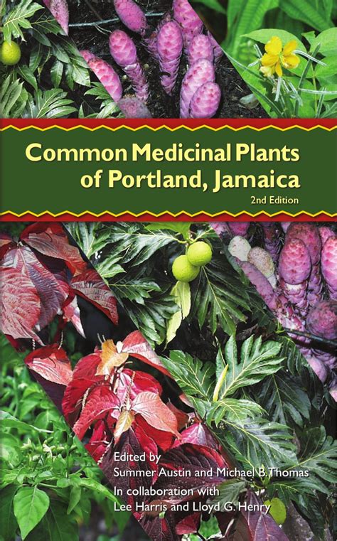 plants used for medicine in jamaica
