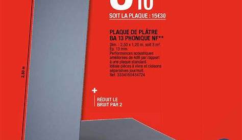 PLACO Plaque de plâtre Placo Phonique BA 13 2,7x1,2 m
