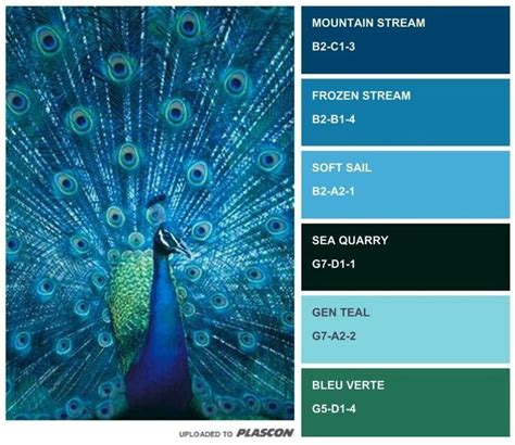 Plascon Paint Colours App