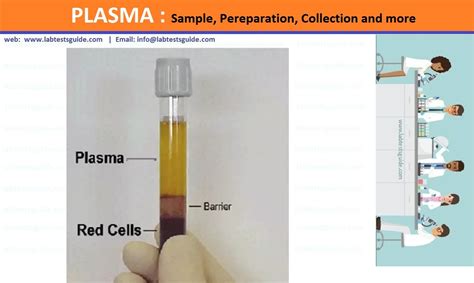 Plasma Sample Collection