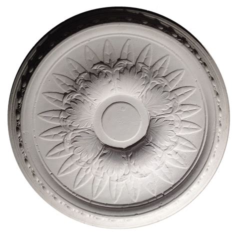 plaster crafts edinburgh evolution