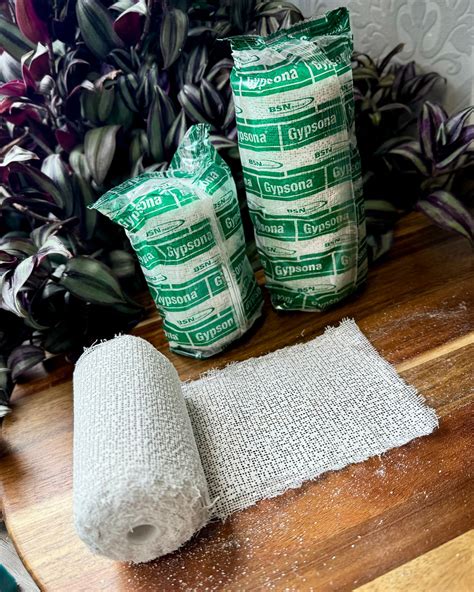 Plaster Gauze Definition