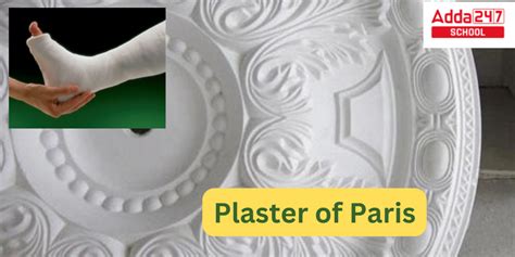 plaster of paris versatility