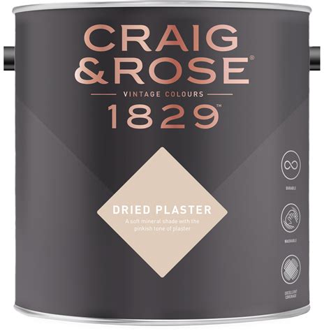 Plaster Paint Wilko