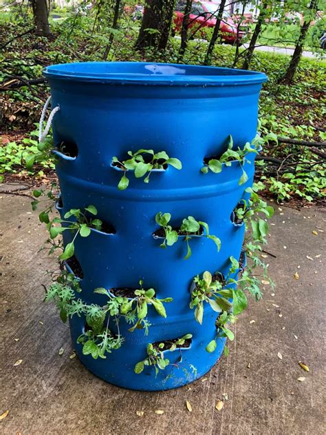 DIY Plastic Barrel Planter Your ProjectsOBN Plastic barrel planter