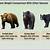 plastic brown bear vs grizzly bear weight in kg