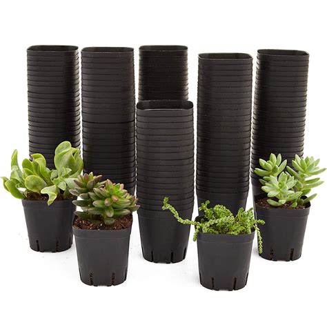 6 inch Plastic Planters with Trays, Set of 5 Upgrade Plant Pots with