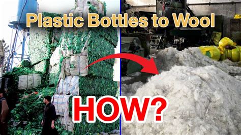 Plastic And Wool