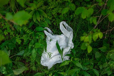 Plastic Bag Bad For Environment