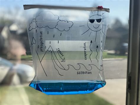 plastic bag water cycle