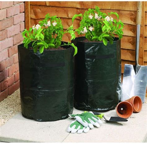 plastic bags for growing plants
