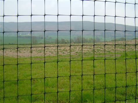 Plastic Mesh Deer Fencing Uk