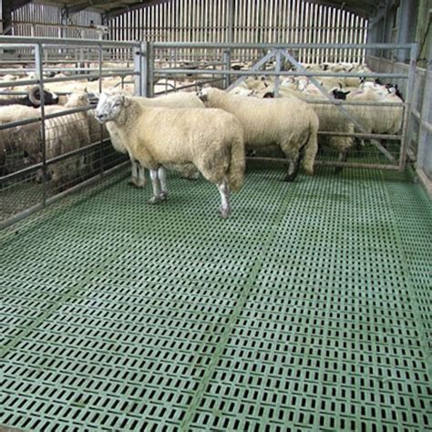 plastic sheep flooring