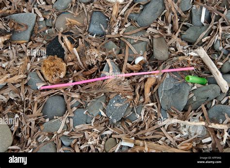 Plastic Straw Litter