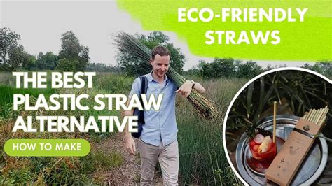 Plastic Straw Substitute