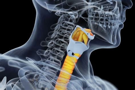 Plastic Windpipe Doctor