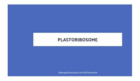 Plastoribosome Isolation Of Mitochondrial Ribosomes Request Pdf