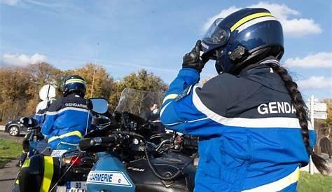Plastron Motocycliste Gendarmerie Lot De Cheval