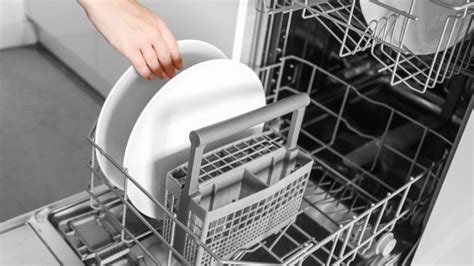plate dishwasher