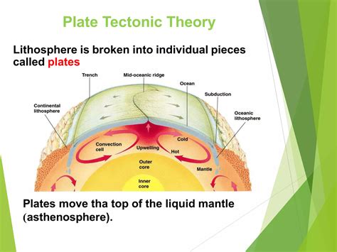Plate Tectonics Helps To Explain