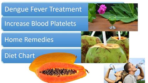 platelet dengue treatment food