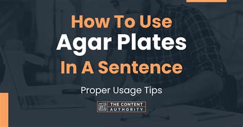 Plates In A Sentence In Science