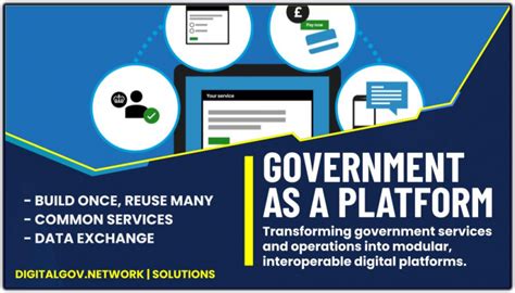 Platform Government Example