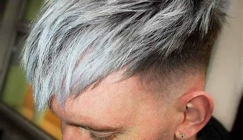 Platinum Grey Hair Highlights Men , , , Long
