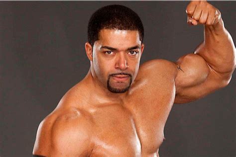 How Much Is Cecerose Lucas Daniella Fans Insights: Data-Driven 2026