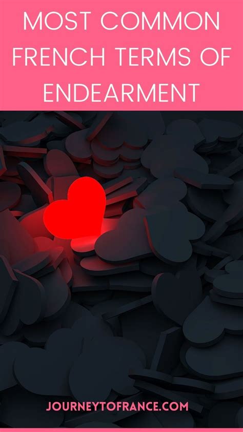 platonic french terms of endearment guide