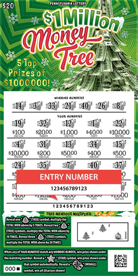 playwildtime.com entry code