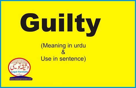 plead guilty meaning in urdu