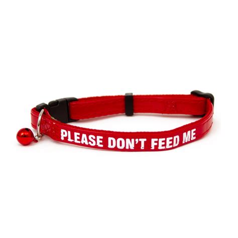 Please Do Not Feed Cat Collar