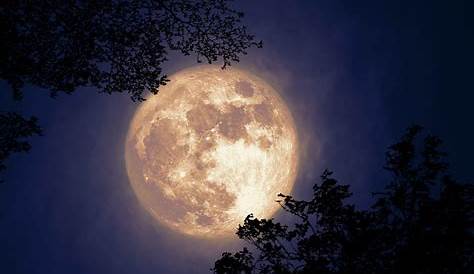 Ouille! 49+ Faits sur Pleine Lune 2021 Calendrier: La nouvelle lune