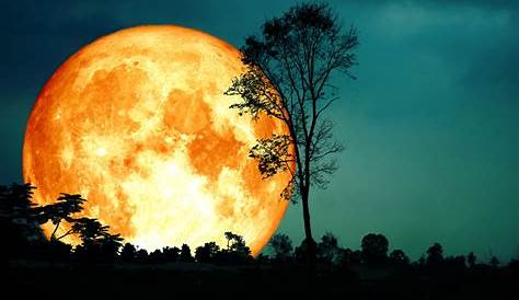 Luna llena de octubre o luna del cazador ¿Cuándo se podrá ver? | Bioguia