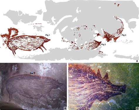 pleistocene cave art from sulawesi indonesia