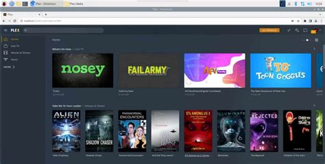 Plex media server interface