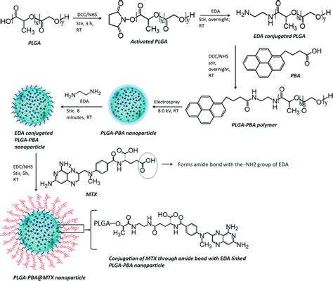 plga nanoparticles synthesis