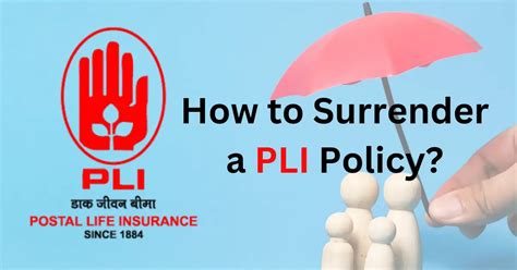 pli customerlogin