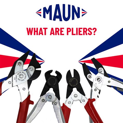 Plier Definition Science