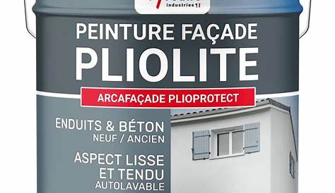 Peinture façade Pliolite IMPACT, ton pierre, 10 l Leroy