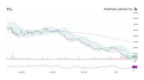 pll stock forecast 2030